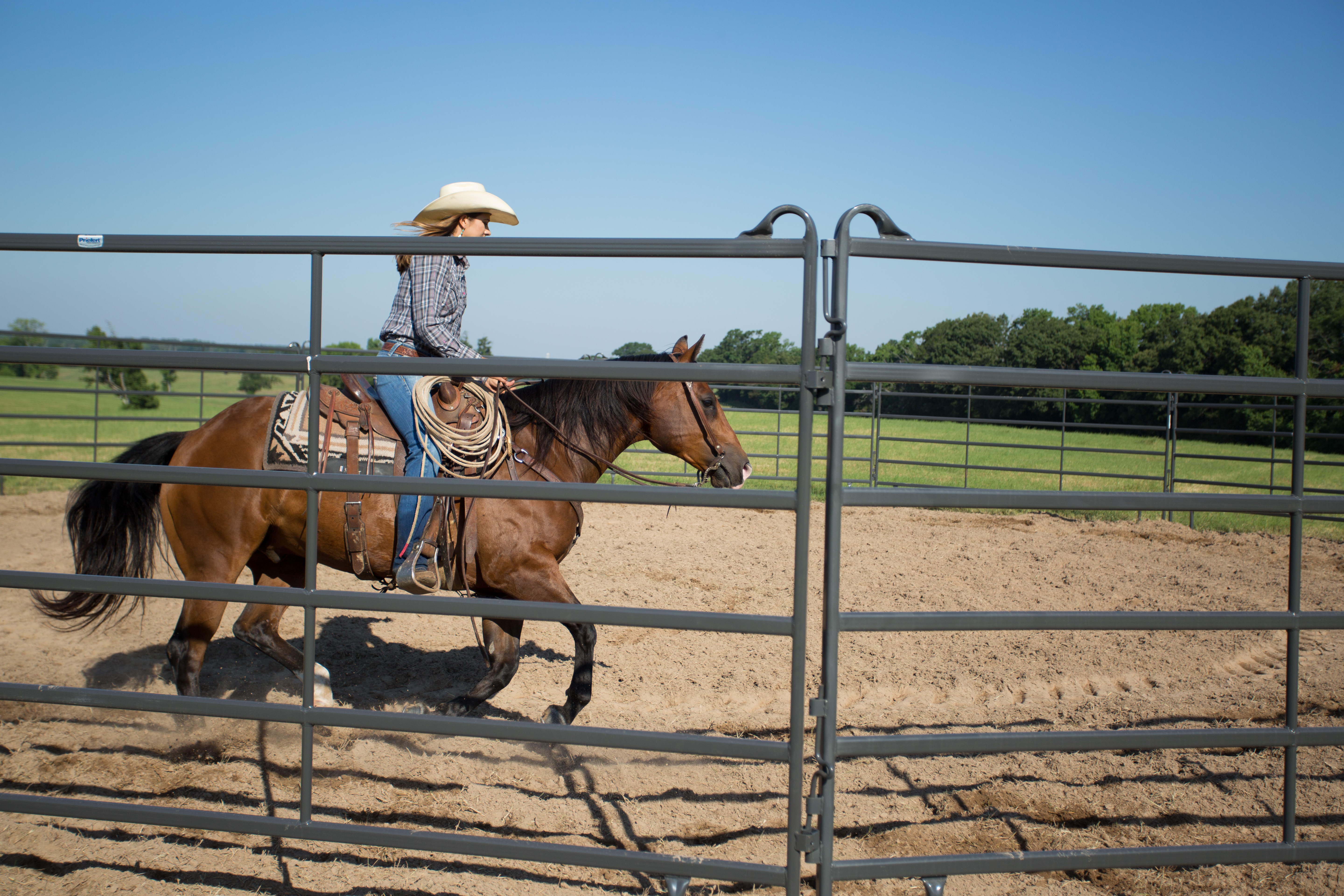 Premier Tall Round Pen PPT50 62.jpg